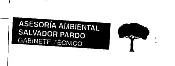 ASESORIA AMBIENTAL SALVADOR PARDO GABINETE TECNICO