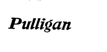 PULLIGAN