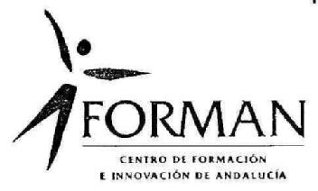 FORMAN CENTRO DE FORMACION E INNOVACION DE ANDALUCIA