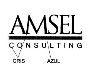AMSEL CONSULTING