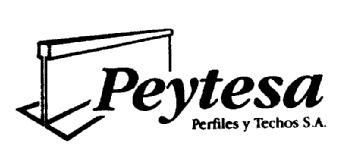 PEYTESA PERFILES Y TECHOS S.A