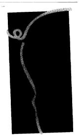 M2047634