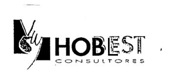 HOBEST CONSULTORES
