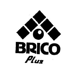 BRICO PLUS
