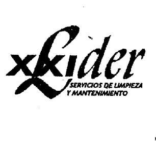 LIDER XXI SERVICIOS DE LIMPIEZA Y MANTENIMIENTO