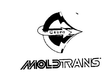 GRUPO MOLDTRANS
