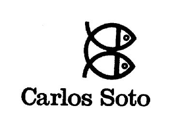 CARLOS SOTO