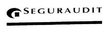 SEGURAUDIT
