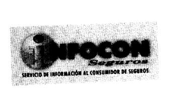 INFOCON SEGUROS SERVICIO DE INFORMACION AL CONSUMIDOR DE SEGUROS