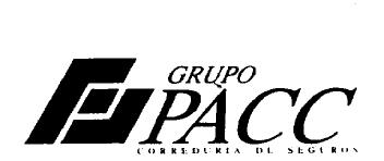 P GRUPO PACC CORREDURIA DE SEGUROS