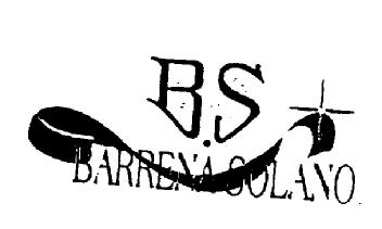 B.S BARRENA SOLANO