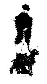 M2071230