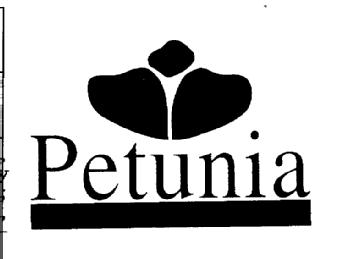 PETUNIA