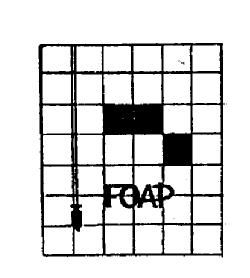 FOAP