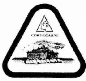 CORDECARNE