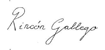 RINCON GALLEGO