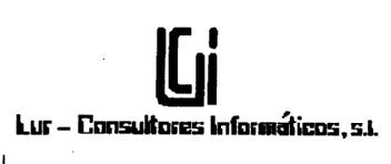 LCI LUR - CONSULTORES INFORMATICOS, S.L