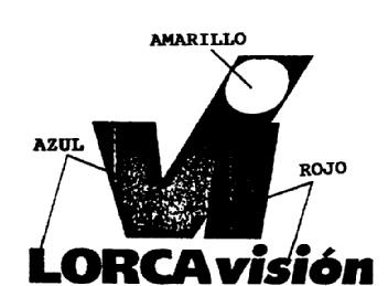 VI LORCA VISION