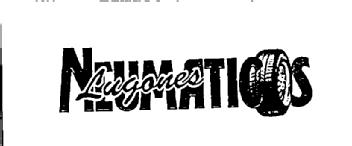 NEUMATICOS LUGONES