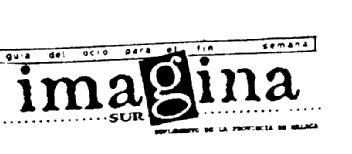 IMAGINA SUR