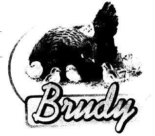BRUDY