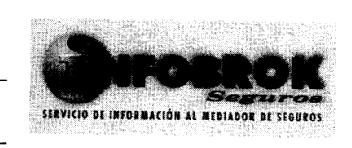 INFOBROK SEGUROS SERVICIO DE INFORMACION AL MEDIADOR DE SEGUROS