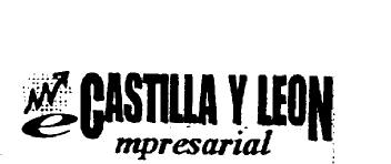 CASTILLA Y LEON EMPRESARIAL