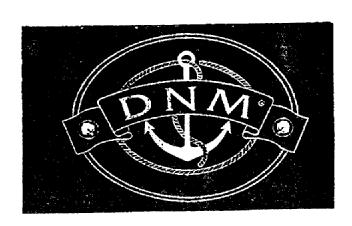DNM
