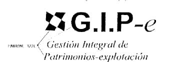 G.I.P. GESTION DE INTEGRAL DE PATRIMONIOS-EXPLOTACION
