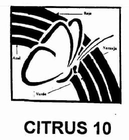 CITRUS 10