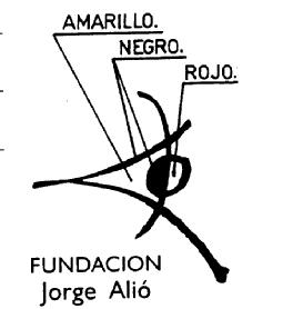 FUNDACION JORGE ALIO