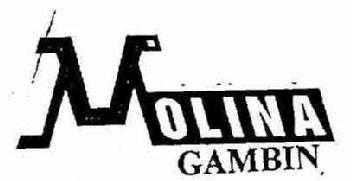 MOLINA GAMBIN