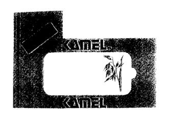 CAMEL