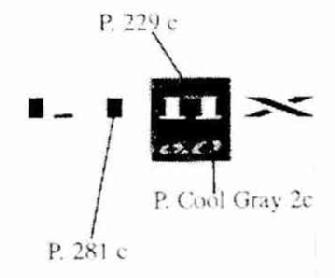 LIPIX