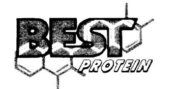 BEST PROTEIN