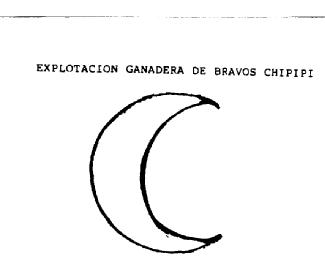 EXPLOTACION GANADERA DE BRAVOS CHIPIPI