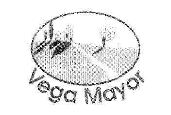 VEGA MAYOR