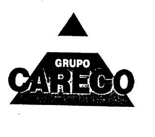 GRUPO CARECO