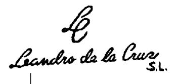 LC LEANDRO DE LA CRUZ S.L