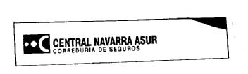 CENTRAL NAVARRA ASUR CORREDURIA DE SEGUROS