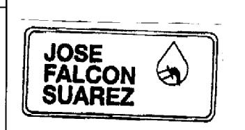 JOSE FALCON SUAREZ