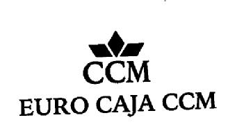 CCM EURO CAJA CCM