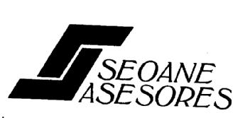 SEOANE ASESORES