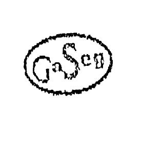 GA SEG