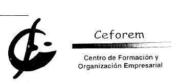 CEFOREM CENTRO DE FORMACION Y ORGANIZACION EMPRESARIAL