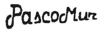 PASCOMUR