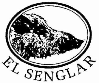 EL SENGLAR