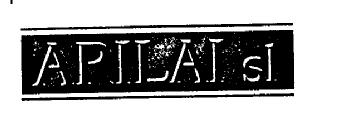 ARILAI S.L