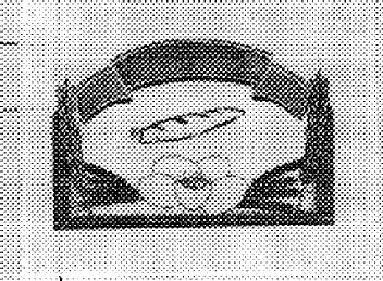 M2155968