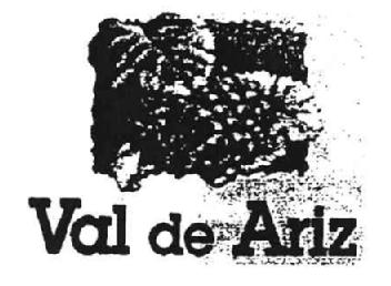 VAL DE ARIZ